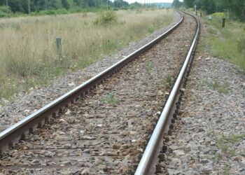 Żyła złota w gminie Harasiuki?