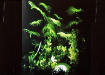 Stalowa Wola: Bajeczny świat animusa