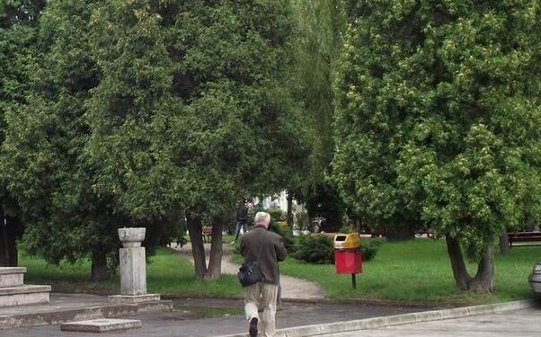 Wkrótce dwa główne mieleckie parki czeka metamorfoza.