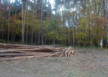 Ruszyły prace na Górce Cyranowskiej w Mielcu