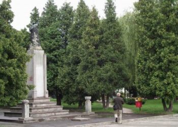 Kontrowersyjne wycinki drzew w mieleckich parkach.