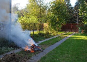 Mielec: Palić czy nie palić?