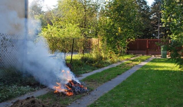 Mielec: Palić czy nie palić?