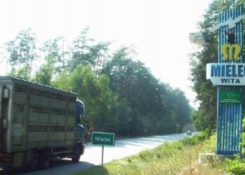 Jest pomysł na przyciągnięcie turystów do Mielca. To las.