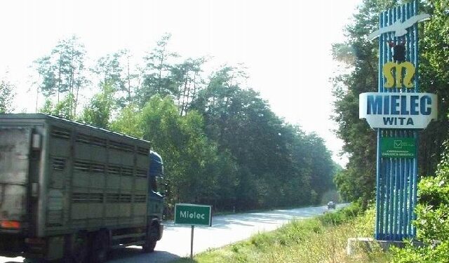 Jest pomysł na przyciągnięcie turystów do Mielca. To las.