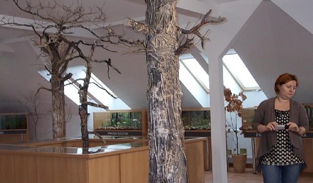 Jarocin: Przyroda w 3D.