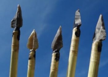 Stalowa Wola: Popielnice, dary grobowe i wystawa o epoce kamienia