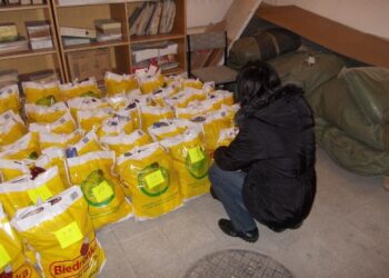 100 paczek dla rodzin wielodzietnych i samotnych matek