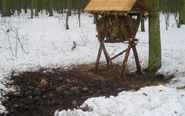 Mielec: Wigilijne polowanie.