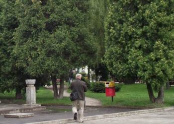 Kontrowersje wokół wycinania drzew w mieleckich parkach