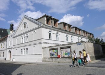 Dzieci pod opieką 'Skrzydeł'