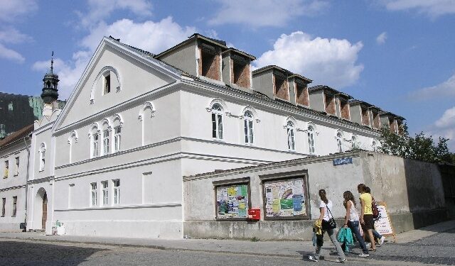 Dzieci pod opieką 'Skrzydeł'