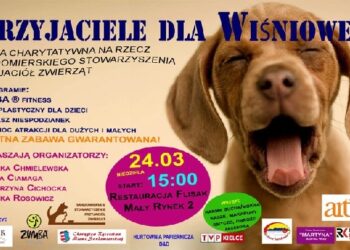 Akcja charytatywna na rzecz przytuliska dla bezpańskich psów na Wiśniowej w Sandomierzu.