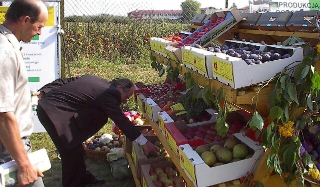 Sandomierskie jabłka znajdują coraz więcej odbiorców