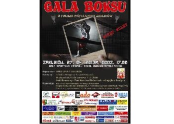 Zaklików: Gala Boksu z mistrzami