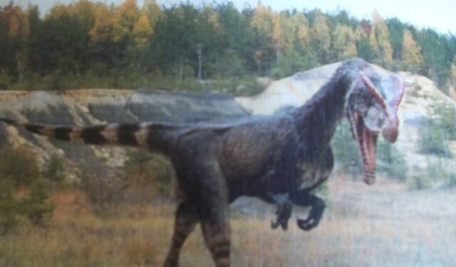 Tarnobrzeg. Wernisaż w piwnicach Zamku Dzikowskiego.