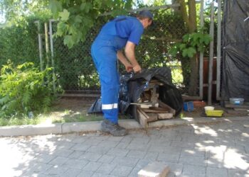 Tarnobrzeg. Rozwiązywanie  kociego  problemu.