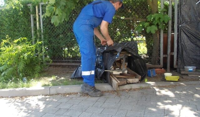 Tarnobrzeg. Rozwiązywanie kociego problemu.