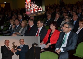 Stalowa Wola: HSW perłą w koronie