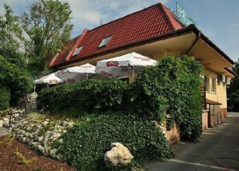 Mielec: Bitwa (muzyczna) o Planetę