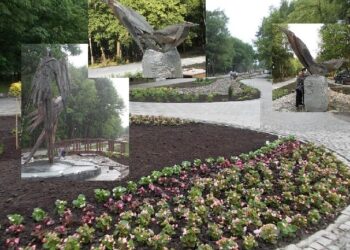 Stalowa Wola: Ptaki już zrywają się do lotu
