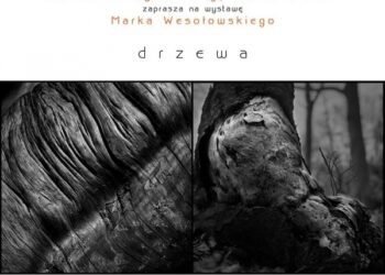 Wystawa Marka Wesołowskiego