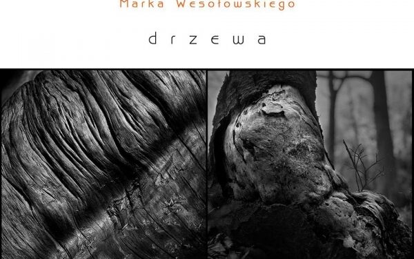 Wystawa Marka Wesołowskiego