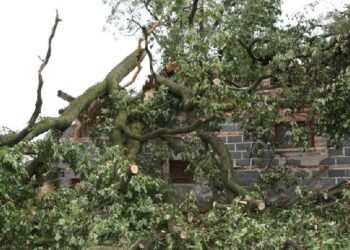 Podkarpacie: Straty w rolnictwie po nawałnicach i gradobiciu.