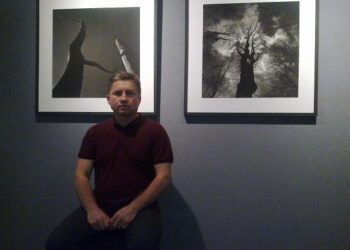 Mielec: DRZEWA Marka Wesołowskiego.