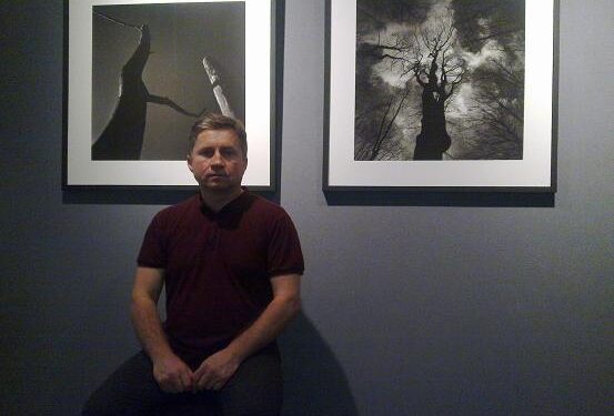 Mielec: DRZEWA Marka Wesołowskiego.