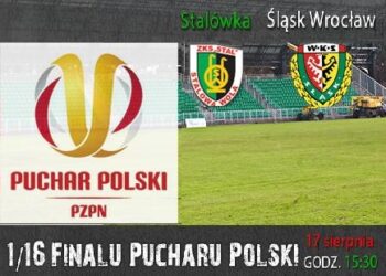 Stalowa Wola: Stal zagra ze Śląskiem.