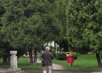 Mielec: Wytną chore drzewa