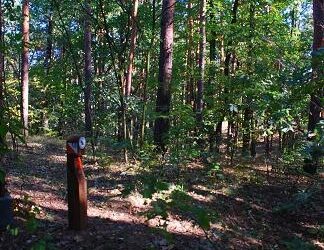 Mielec: Biegaj razem z nami.