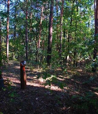 Mielec: Biegaj razem z nami.