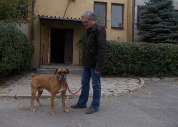 Tarnobrzeg.  Święty Franciszku dopomóż.