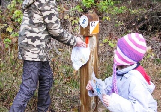 Mielec:  Zielony Punkt Kontrolny  nowoczesna koncepcja udostępniania lasu