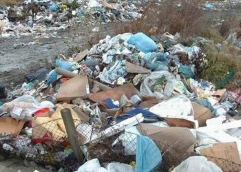 Problem dzikich wysypisk w kolbuszowskich lasach