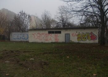Tarnobrzeg. Nowe miejsce na tymczasowe przytulisko.
