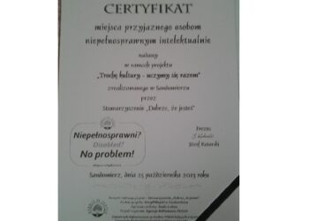 Sandomierz: Podsumowanie kampanii 'Trochę kultury – uczymy się razem' .
