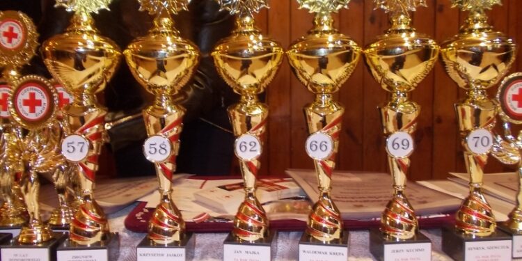 Tarnobrzeg. Odznaczenia i wyróżnienia dla honorowych dawców krwi oraz osób wspierających PCK.