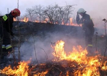 Sandomierz: Dobre wyposażenie PSP I OSP