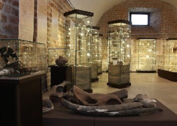 Sandomierz: Zabytki ziemi sandomierskiej w albumie