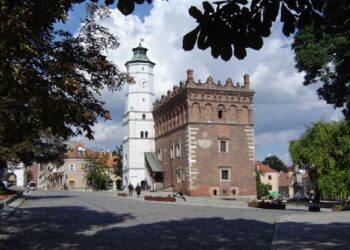 Sandomierz: Grzyb w salach ekspozycyjnych Ratusza.
