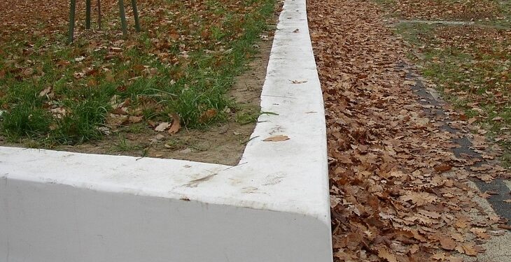 Nowa Dęba: Planty pod lupą radnego