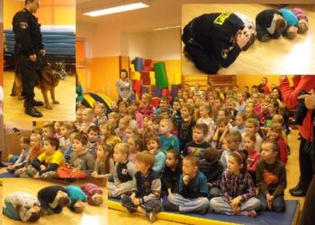 Stalowa Wola: Przed atakiem psa ratuj się pozycją żółwia