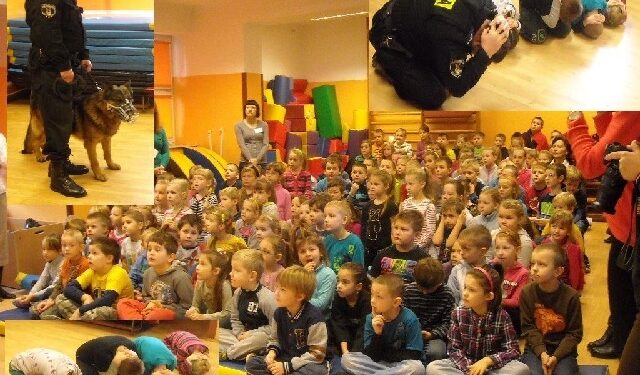 Stalowa Wola: Przed atakiem psa ratuj się pozycją żółwia