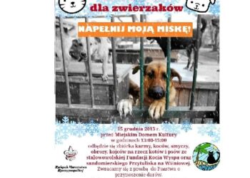 Stalowa Wola: Będą zbierać karmę dla psów i kotów.