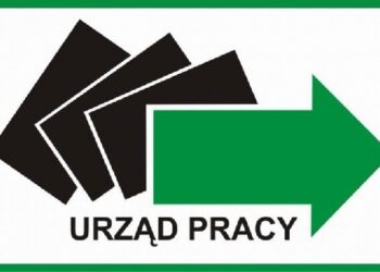 Kolbuszowa: Elżbieta Kapusta nowym dyrektorem Powiatowego Urzędu Pracy.