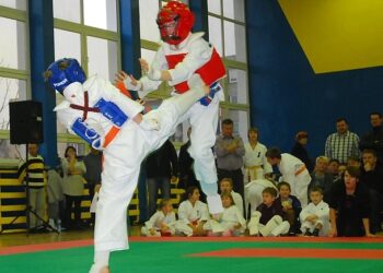 Gorzyce: VI Powiatowy Turniej Karate