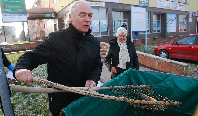 Tarnobrzeg: Poseł rozdawał karpie